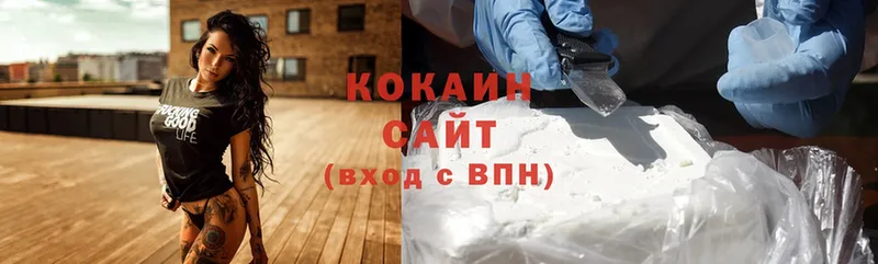 МЕГА зеркало  Игра  Cocaine Эквадор 